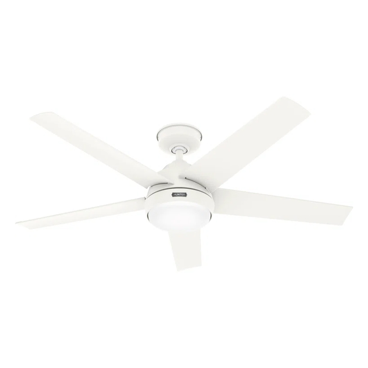 Zhongshan Room Home Hotel Decorative Lighting Indoor Ceiling Fan Light 3 Blade Black Led Ceiling Fan Lamp