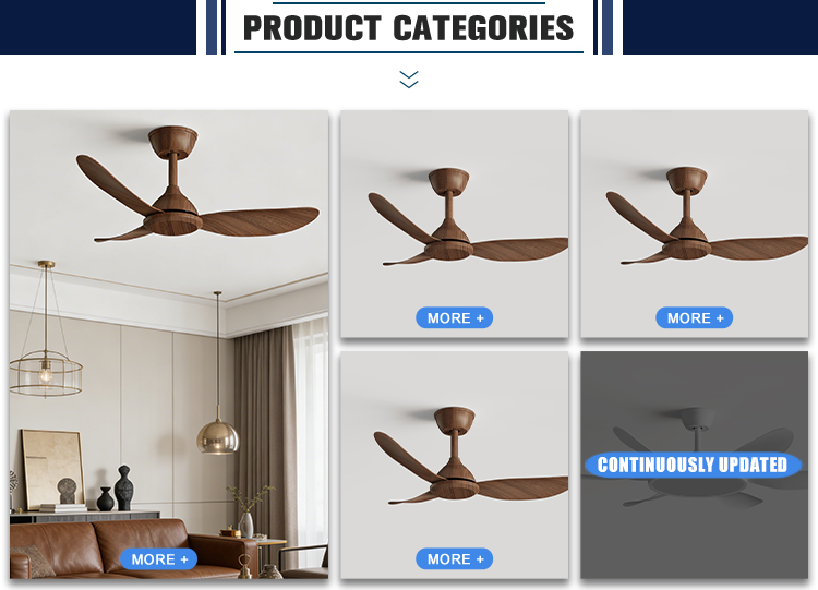 Product Detail 2