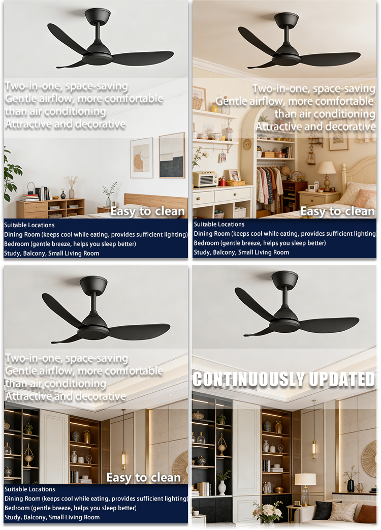 Ceiling Fan Feature 3