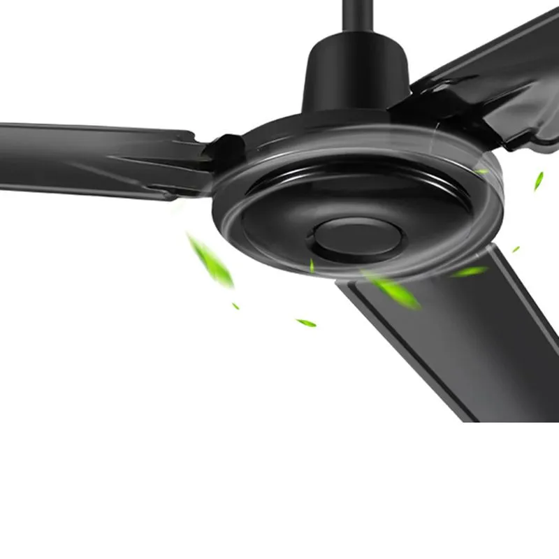 Ceiling Fan Details