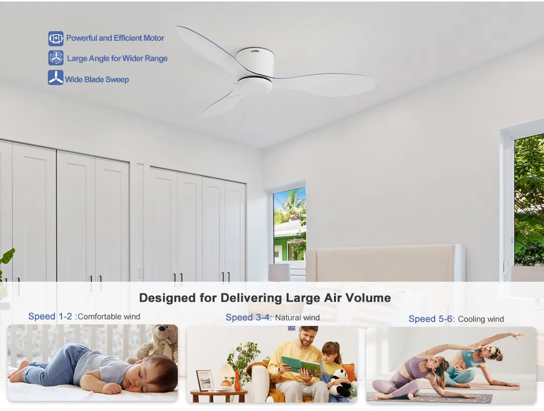 Ceiling Fan Transparent Blade DC Motor Flush Mount ABS Ceiling Fan 2in1 Lighting