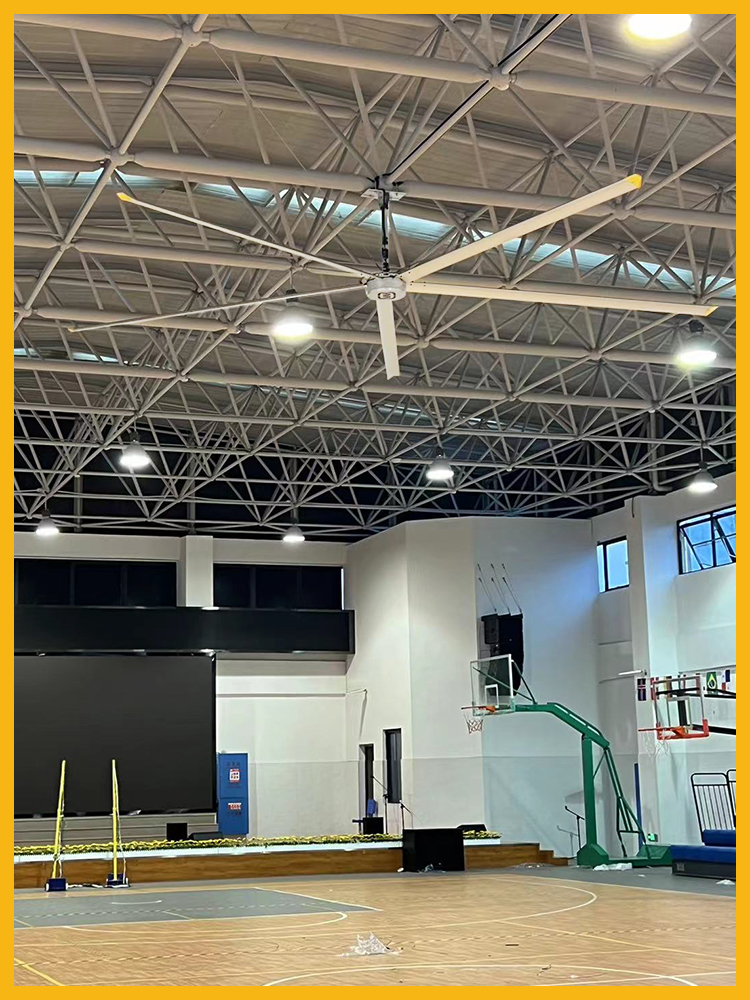 Basketball Court Scenario