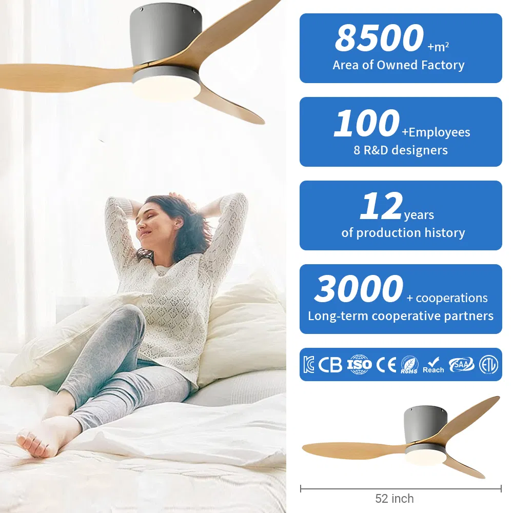 Hot Sell 52 Inch Flush Mount Ceiling Fan Indoor Use with Integrated Light Fan