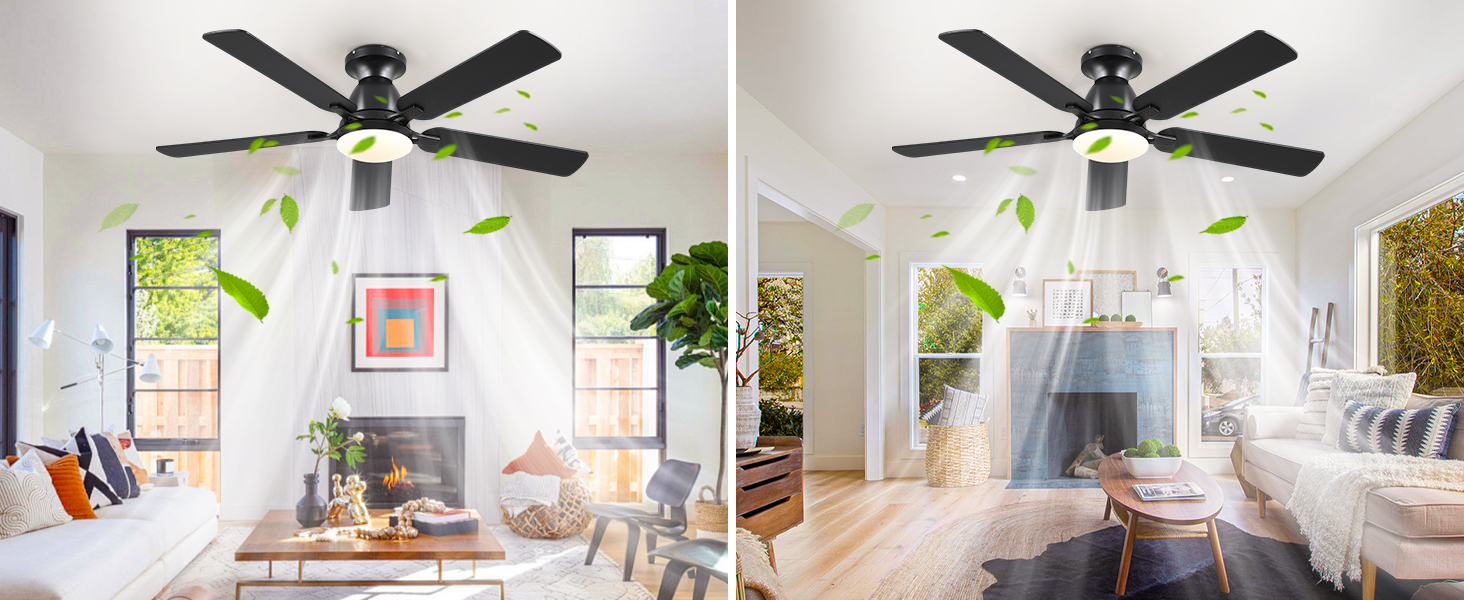 Ceiling Fan Image 9