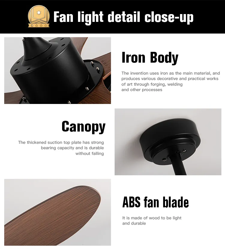 Decorative Ceiling Fan Model dd2ff