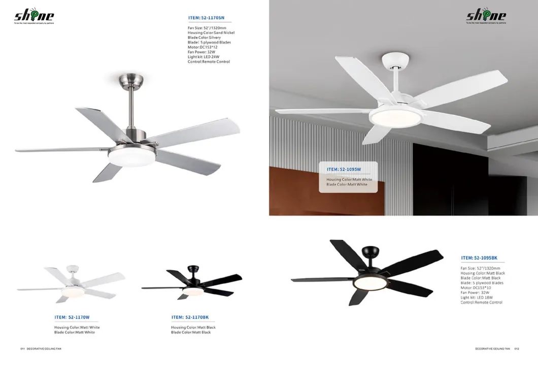 Detailed Fan Photo 11
