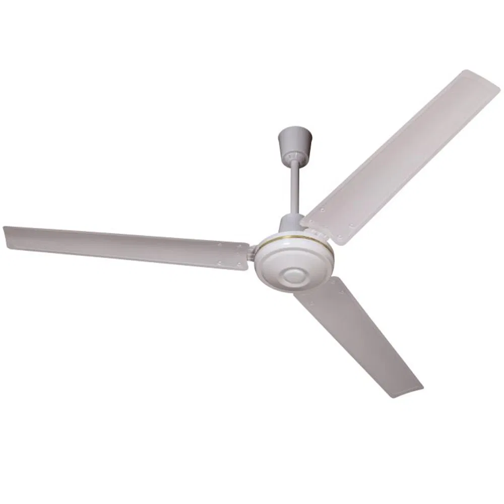 Ceiling Fan Detail