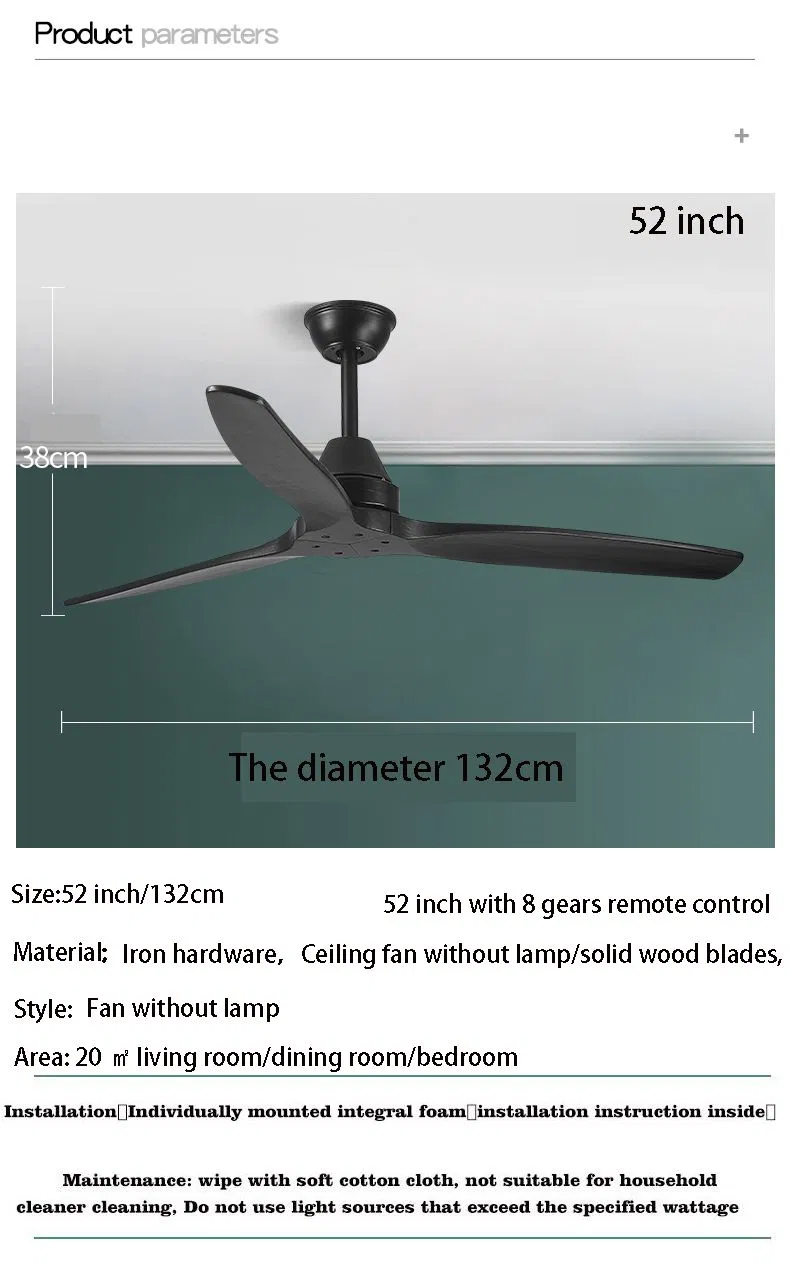 Ceiling Fan Detail 9