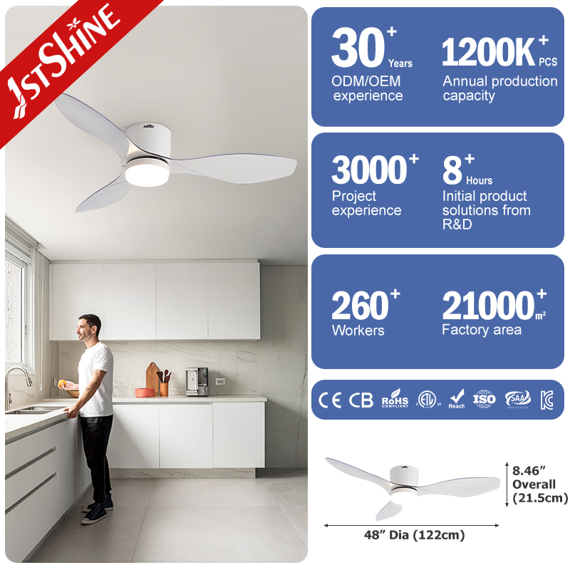 1stshine Ceiling Fan Transparent Blade DC Motor Flush Mount ABS Ceiling Fan 2in1 Lighting