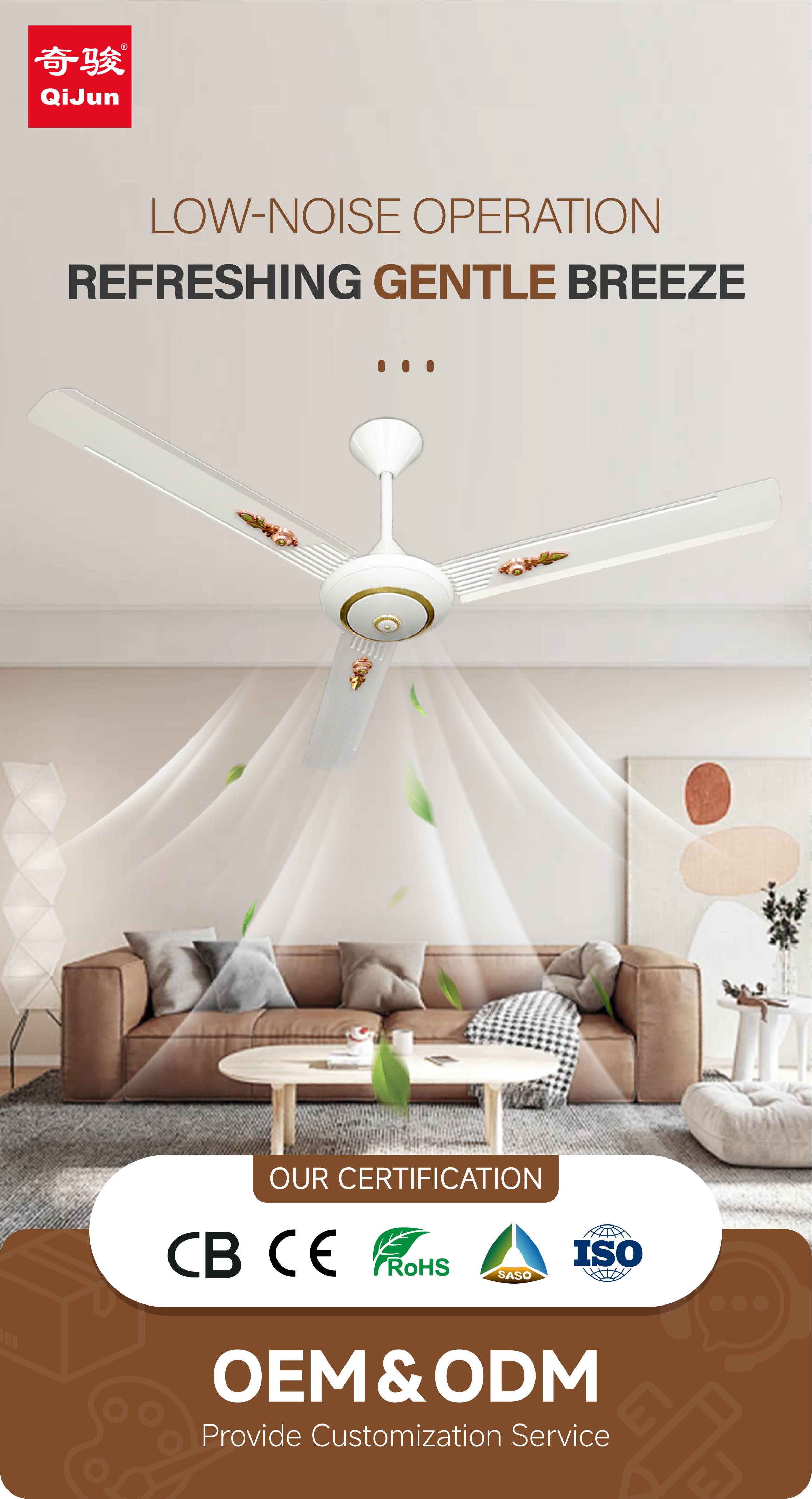 Ceiling Fan Detail 1