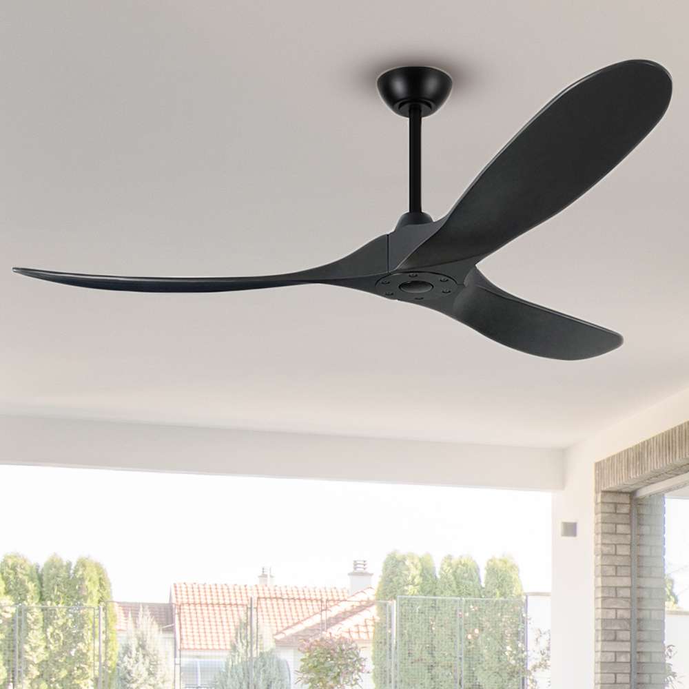 Ceiling Fan Detail 1