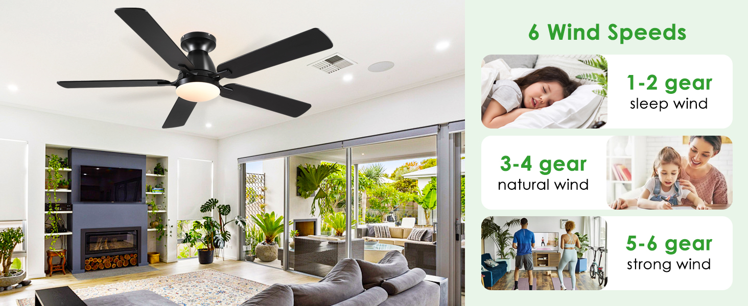Ceiling Fan Image 4