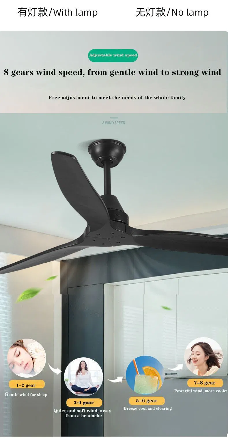Ceiling Fan Detail 3