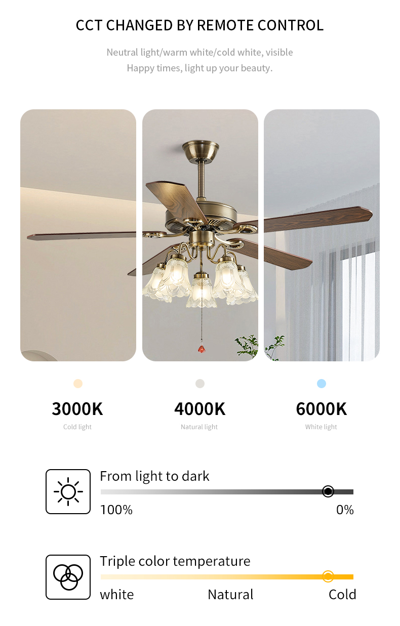 Product Detail 3