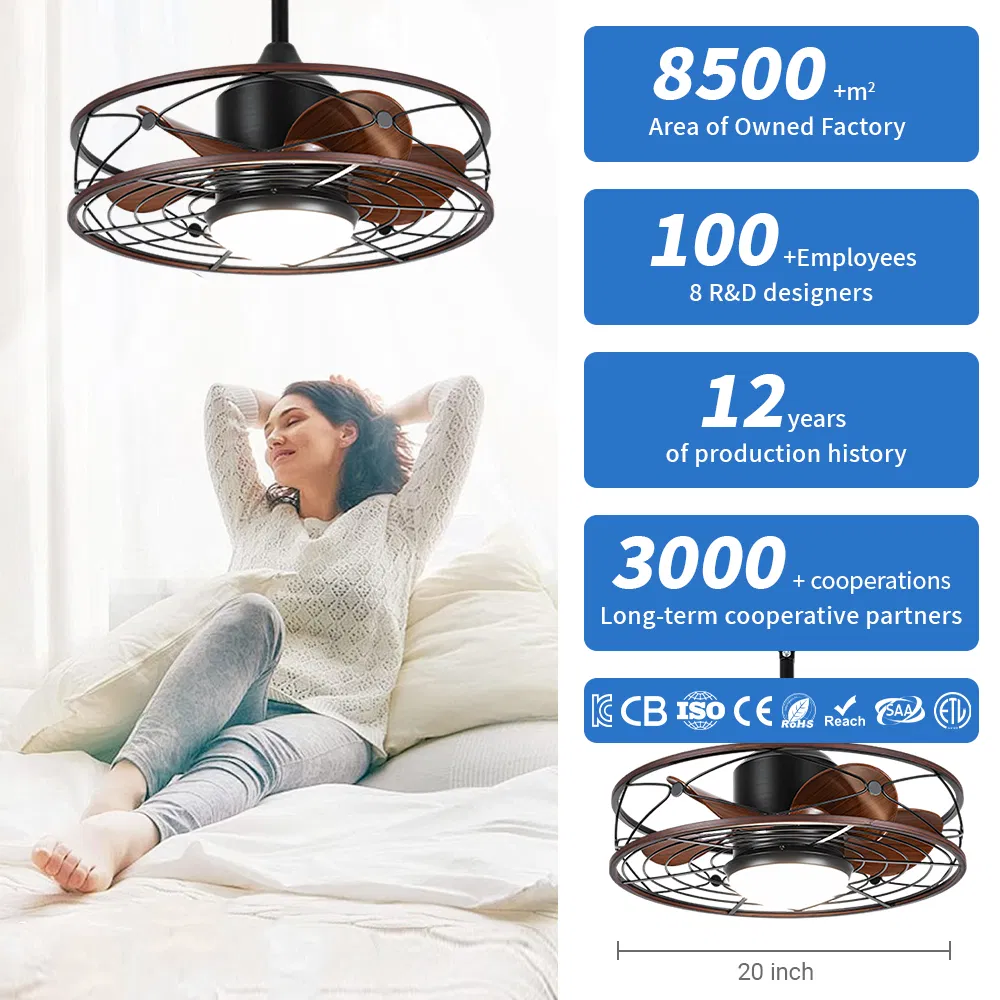 Ceiling Fans with Lights, 20 Inch Waterproof Ceiling Fan with Light and Remote, Reversible DC Motor, , Dimmable, for Balcony