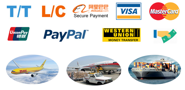 Payment and Shipping Information
