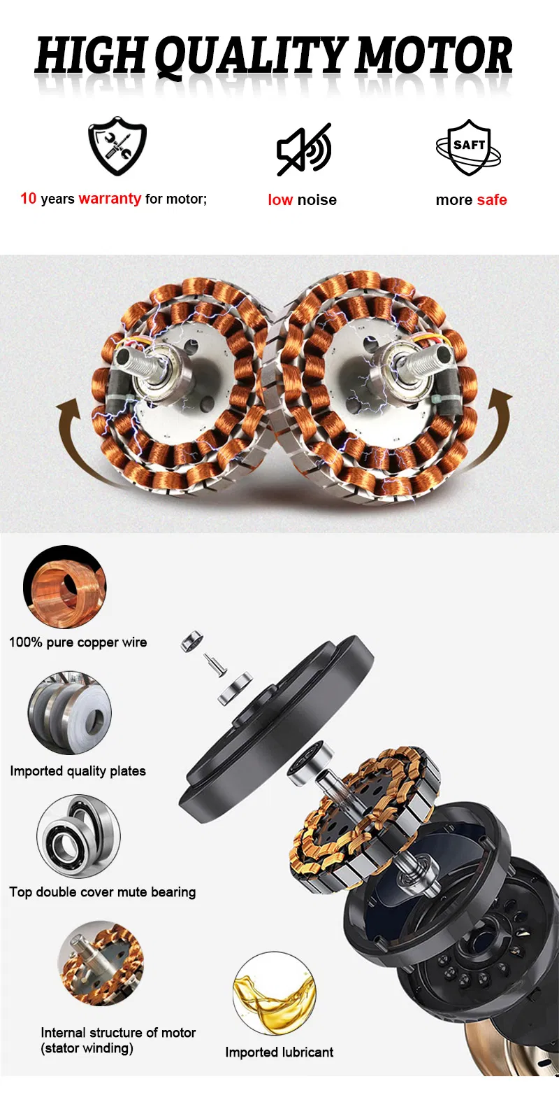 Ceiling Fan Motor Details