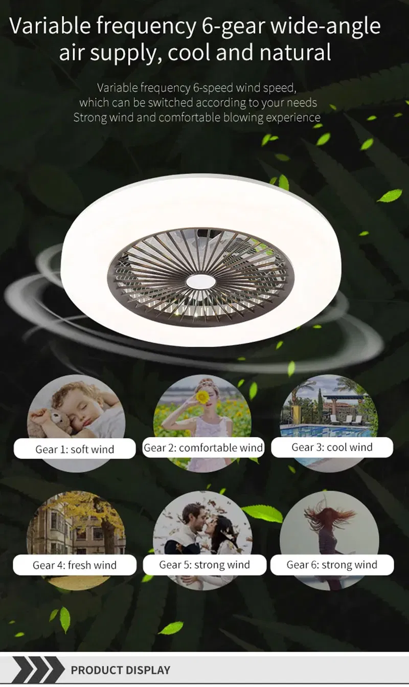 LED Residential Smart Control Ceiling Fan