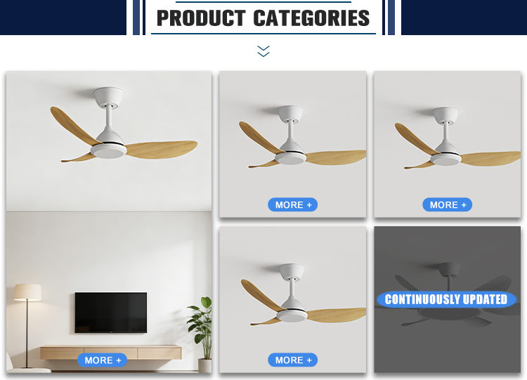 Ceiling Fan Feature 2