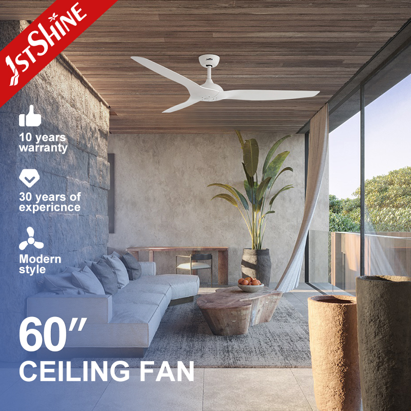 1stshine 60 Inch Large Ceiling Fan DC Motor Ultra Quiet ABS Blades Remote Control Modern Home Living Room
