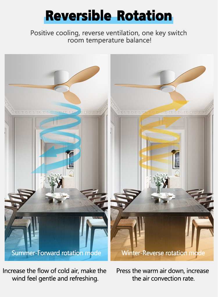 Ceiling Fan Feature 3