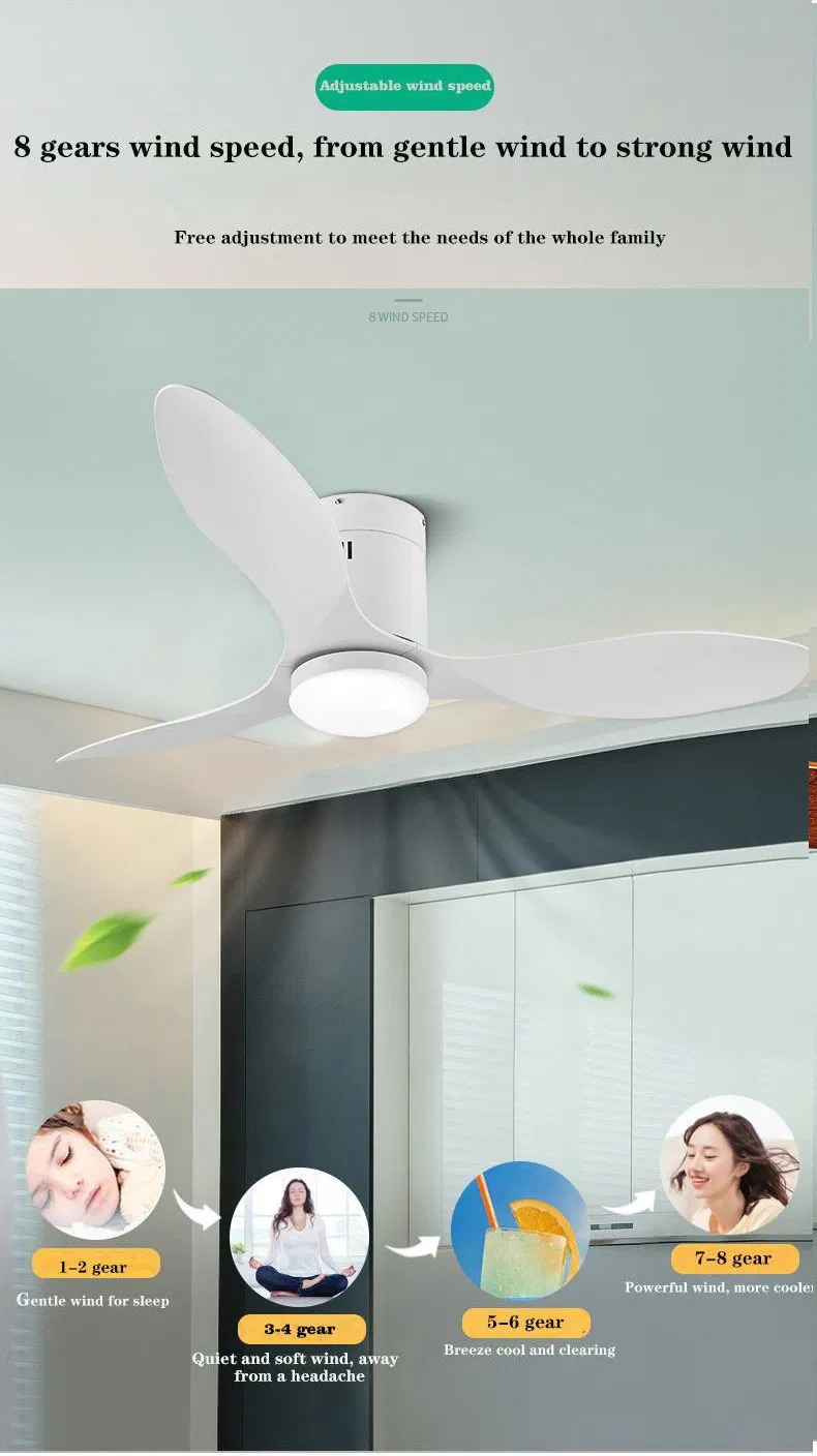 LED Ceiling Fan Detailed View 2