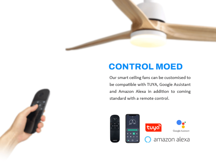 Custom Service Options 4