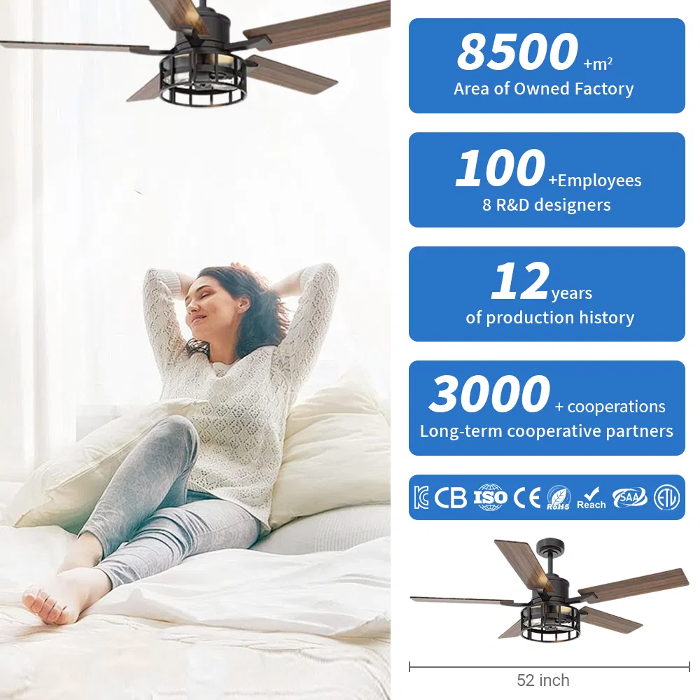 Whisper Quiet Ceiling Fan with Energy Efficient Motor for Bedroom