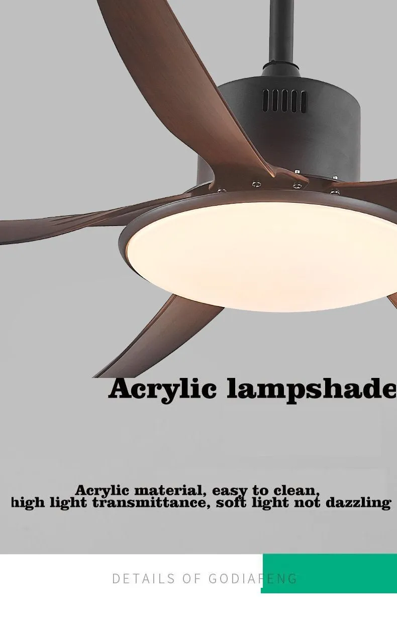 Ceiling Fan Light 9