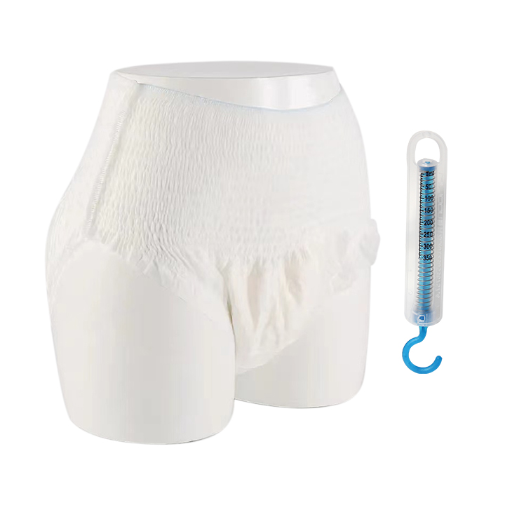 Hot Sale Women Menstrual Panties Disposable Breathable Ultra Soft Metering Sanitary Maternity Napkins Pregnant Beauty