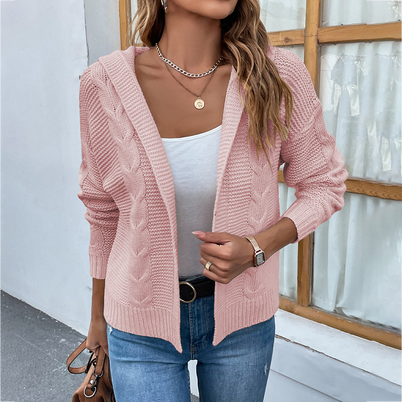 Women's Knitwear Autumn and Winter Sweater New Solid Hooded Sweater High Quality Cardigan Coat OEM