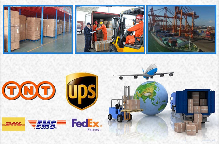 Logistics and Packing