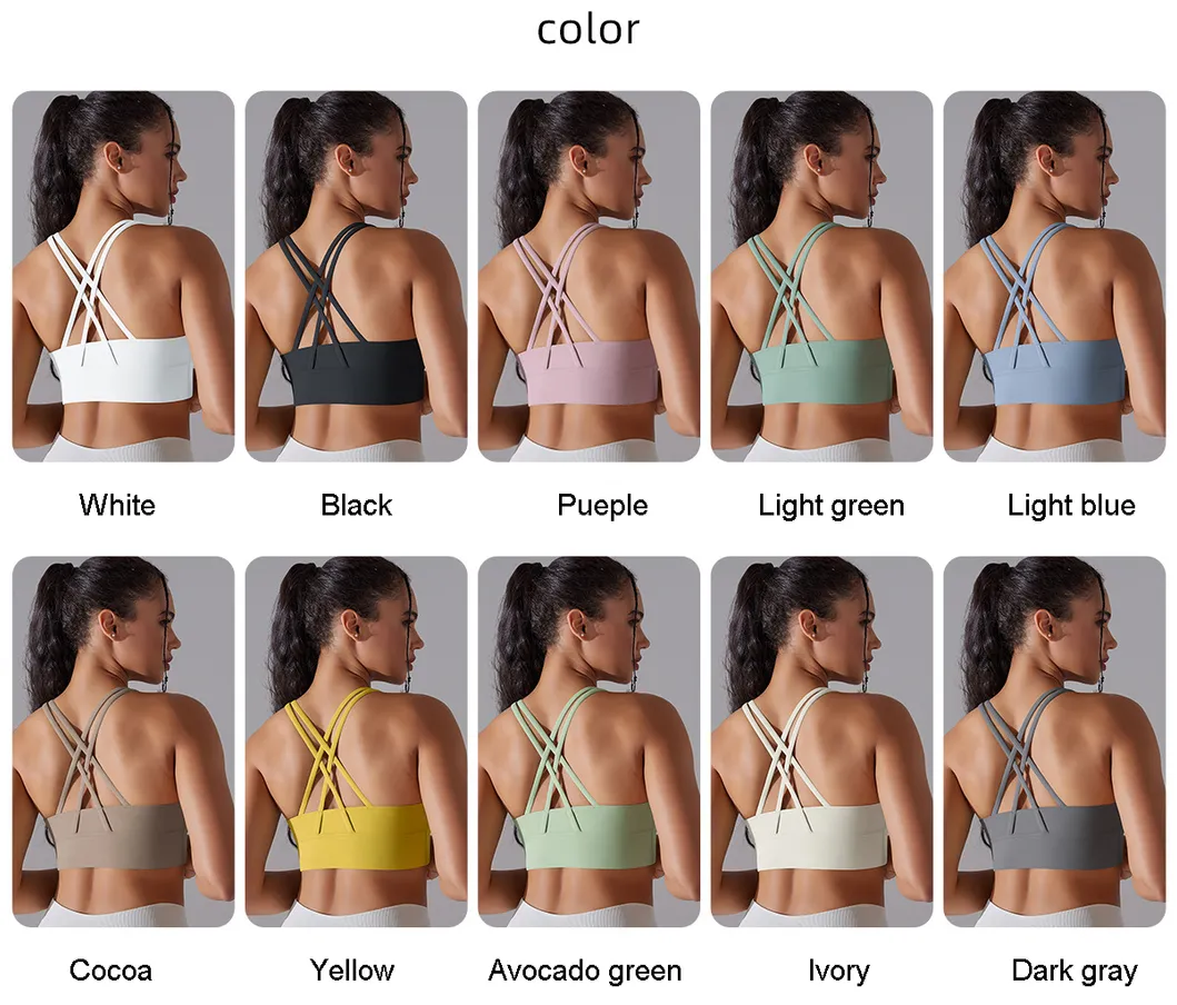 Gym Sports Bra Overview