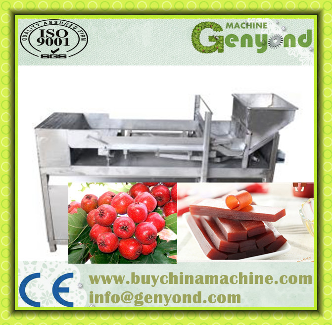 Hot Sale Fruit Leather Production Line From Manufacturer