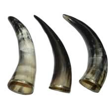 Horn Products