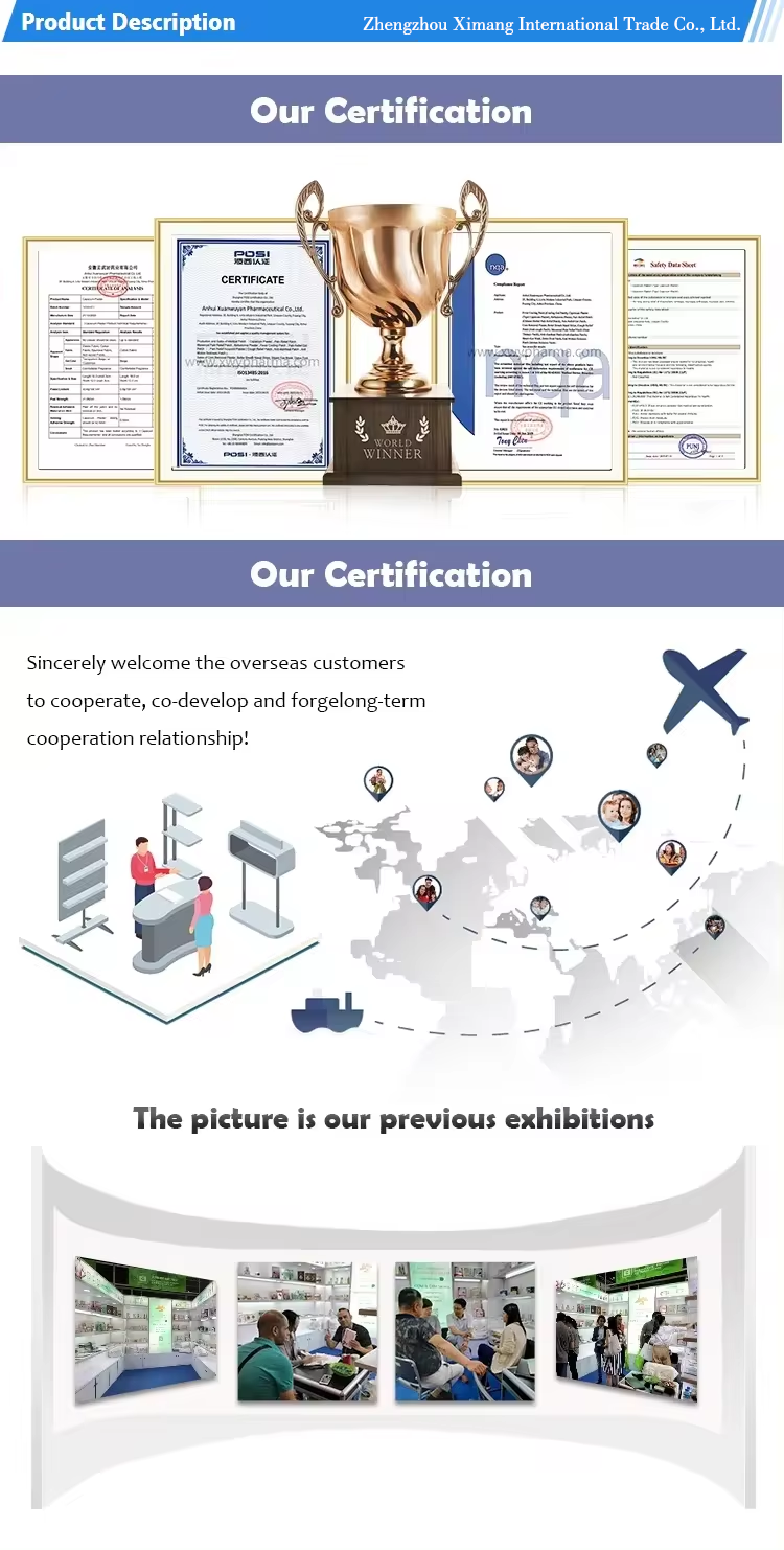 Company Profile detail 2