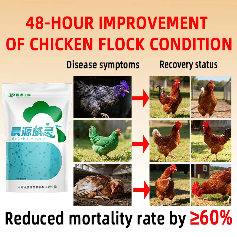 Chenyuan Weiling Poultry Viral Disease Solution Cures & Prevents, Rapid Recovery