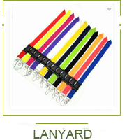 Related Product Detail