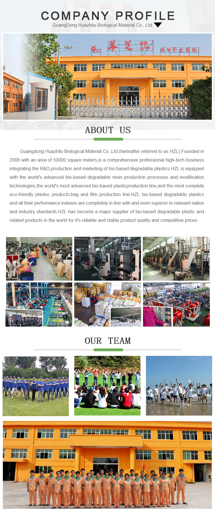 Company Info