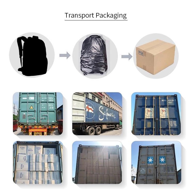 Product Packaging Details