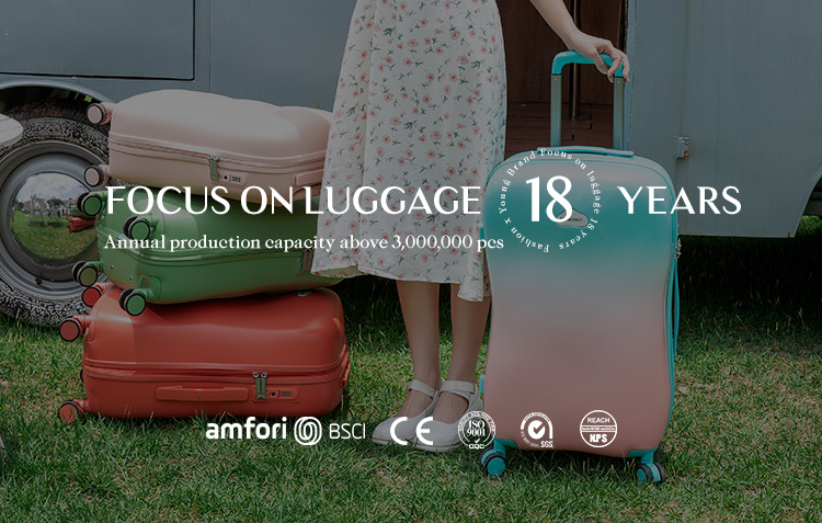 Luggage Display
