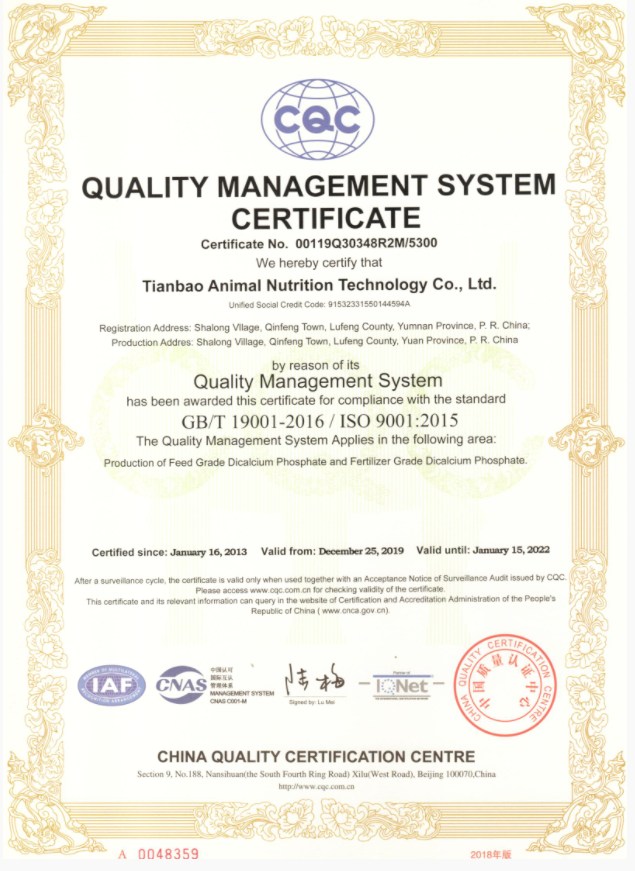 Certificate 1