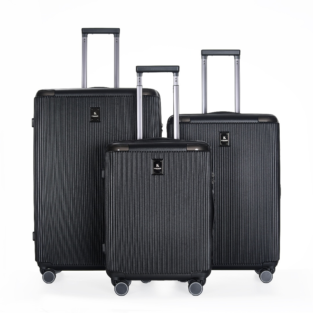 Luggage View 2