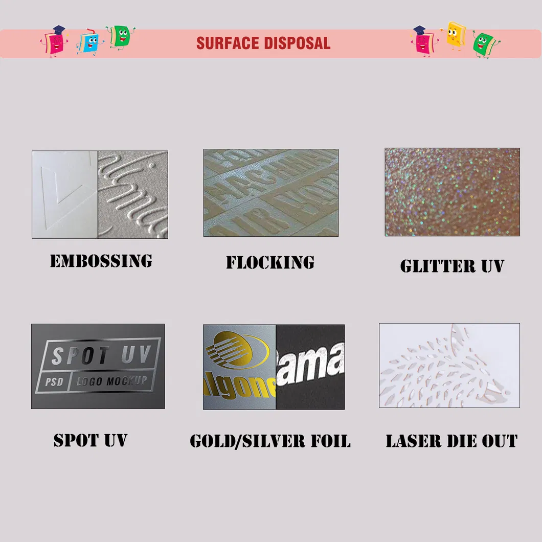 Product Showcase 5
