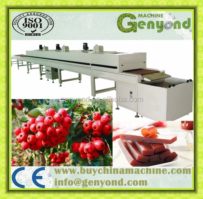 Hot Sale Fruit Leather Production Line From Manufacturer