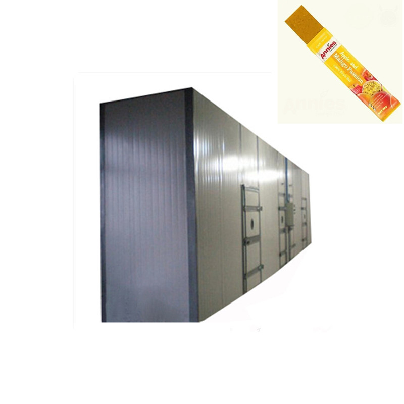 Turnkey Project Fruit Leather Manufacturing Machine with Pump Gear Motor &amp; Bearing 150-600kg/h Capacity 220V/380V