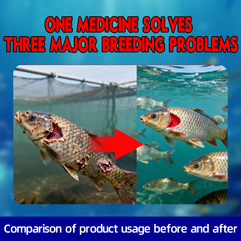 Versatile Solution for Freshwater &amp; Marine Farming Cy Floraqua-Spectrum