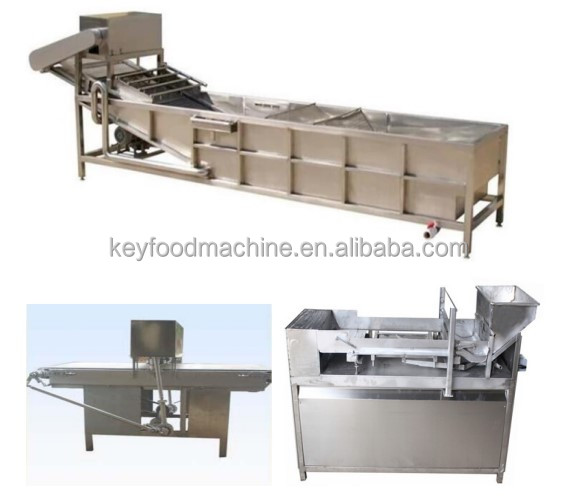 Fruit Leather Manufacturing Equipment