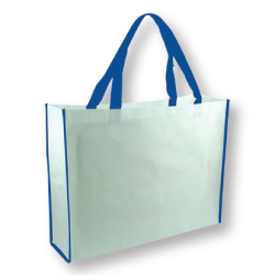 Eco-Friendly Customizable Waterproof Travel Tote Bag for All Occasions