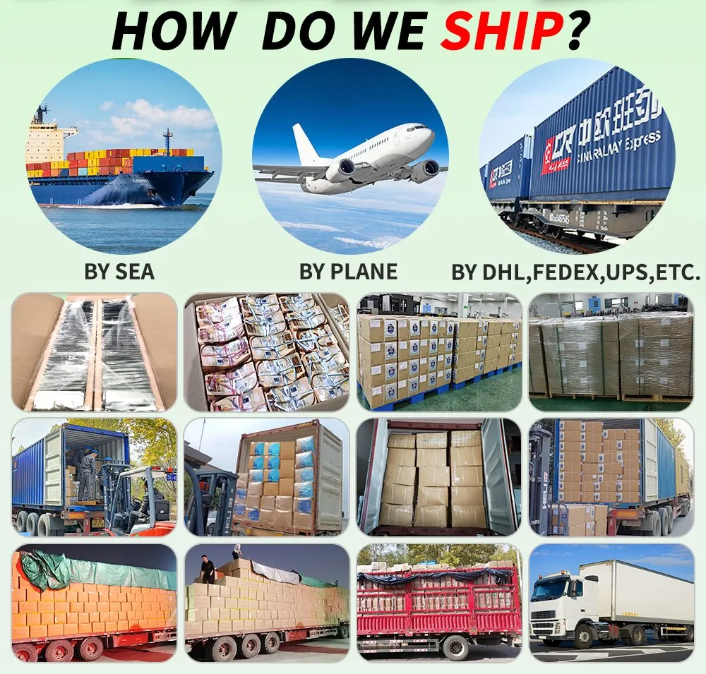 Shipping Logistics Details